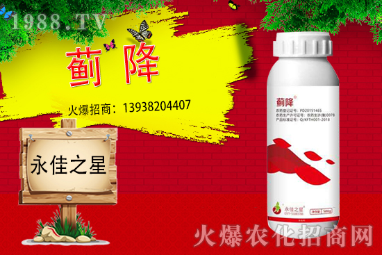 薊馬危害癥狀有哪些？用什么藥能有效防治？