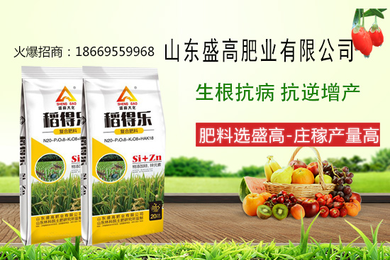 盛高肥業(yè)怎樣，有哪些優(yōu)勢(shì)？公司主打產(chǎn)品有哪些？