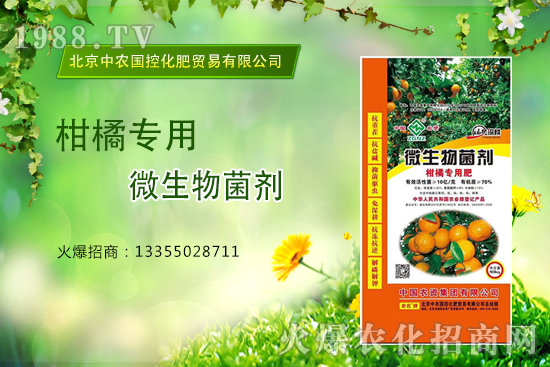 柑橘怎么施肥？施什么肥？柑橘專用肥有哪些？