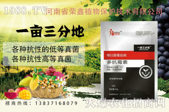 白粉、繡病、霜霉病害真難打？防治藥劑有哪些？殺菌產(chǎn)品匯總！