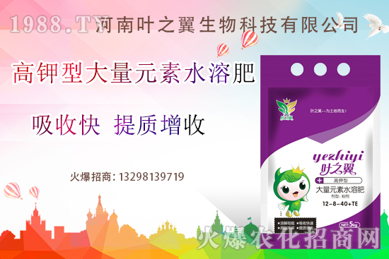 高鉀、高磷、平衡型水溶肥有什么作用？怎么選擇才不出錯？
