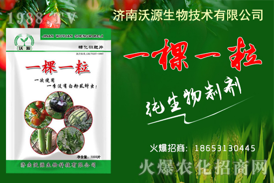     蚜蟲、白粉虱、薊馬怎么防？沃源生物“一棵一?！睔⒊x卵，藥效！