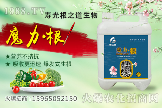 要想作物好，根系更重要！壽光根之道怎么樣？有哪些爆款產(chǎn)品？