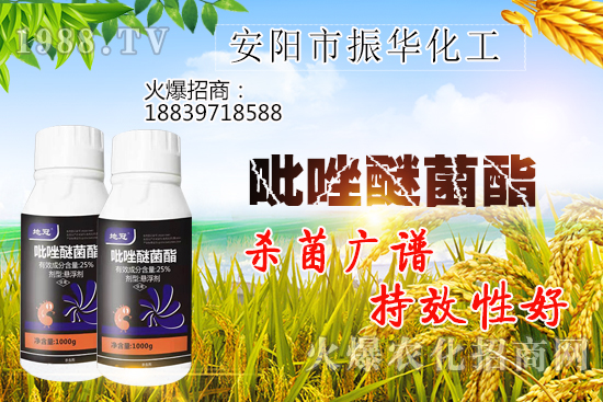 黃瓜白粉病危害有哪些，黃瓜白粉病怎么治？該打什么農藥？