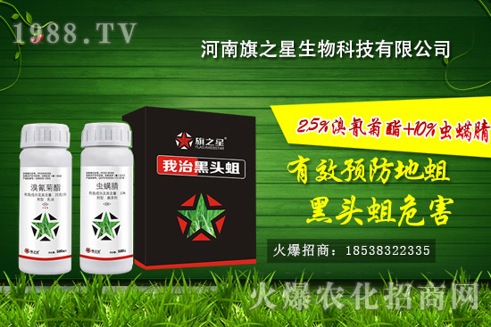 河南旗之星怎么樣？河南旗之星殺蛆產(chǎn)品有哪些？