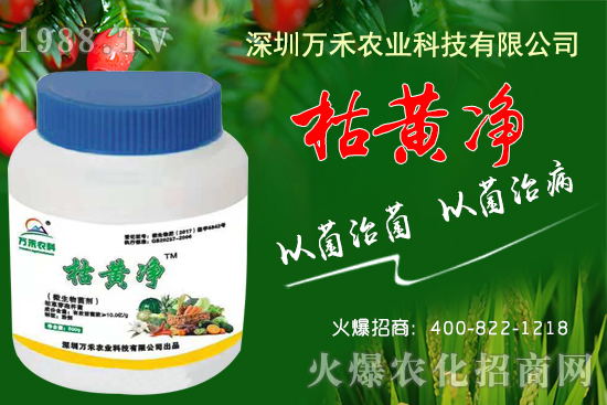 枯黃凈能防治哪些病害？枯黃凈適用作物及使用方法！