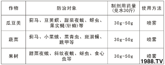 2.4%阿維·氯氰能打薊馬嗎？2.4%阿維·氯氰使用方法！