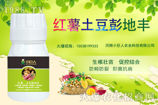 河南小巨人怎么樣？公司有什么優(yōu)勢？主推產(chǎn)品有哪些？