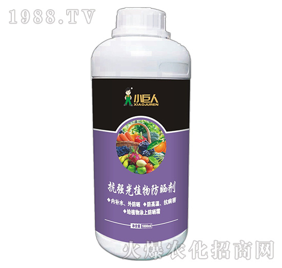 河南小巨人怎么樣？公司有什么優(yōu)勢？主推產(chǎn)品有哪些？