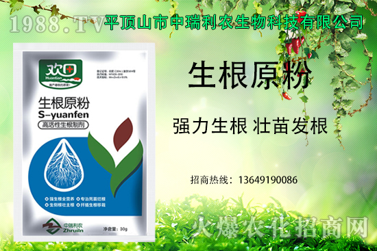 爛根、漚根、僵苗多發(fā)？作物的生根原粉！強(qiáng)力生根，壯苗發(fā)根！