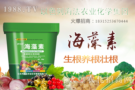 海法農(nóng)業(yè)為啥這么牛？海法農(nóng)業(yè)生產(chǎn)特色是什么？主打哪些產(chǎn)品？