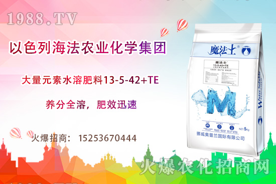 海法農(nóng)業(yè)為啥這么牛？海法農(nóng)業(yè)生產(chǎn)特色是什么？主打哪些產(chǎn)品？
