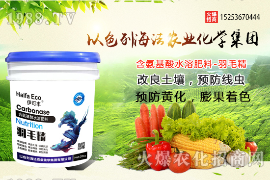 海法農(nóng)業(yè)為啥這么牛？海法農(nóng)業(yè)生產(chǎn)特色是什么？主打哪些產(chǎn)品？