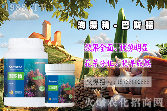  還不了解海藻精是啥？那你就真的out了！海藻精作用有多大？