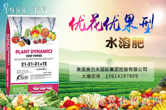 果實果小、不膨果？不妨試試“優(yōu)花優(yōu)果型水溶肥”，著色美果又增甜！