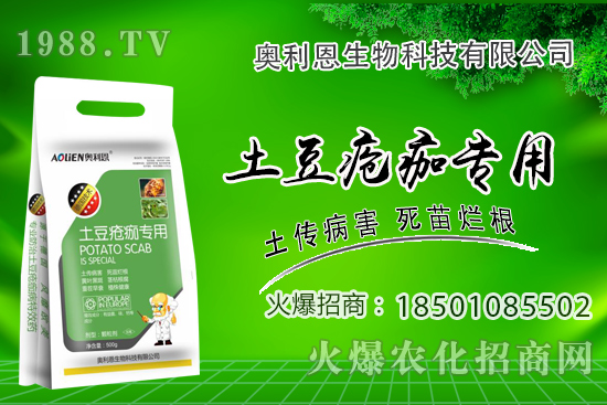 土豆瘡痂病什么癥狀？為什么難防治？土豆瘡痂病防治措施！