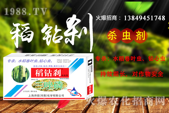 水稻鉆心蟲抗性嚴重，該如何防治？ “稻鉆剎”教您如何消滅！
