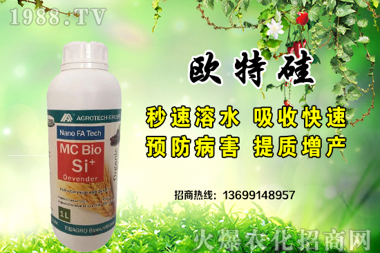 埃及艾格泰克集團(tuán)公司