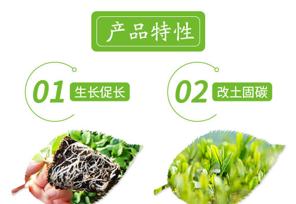 �VԴ�S�����-��ɫ����-���r˹�__04