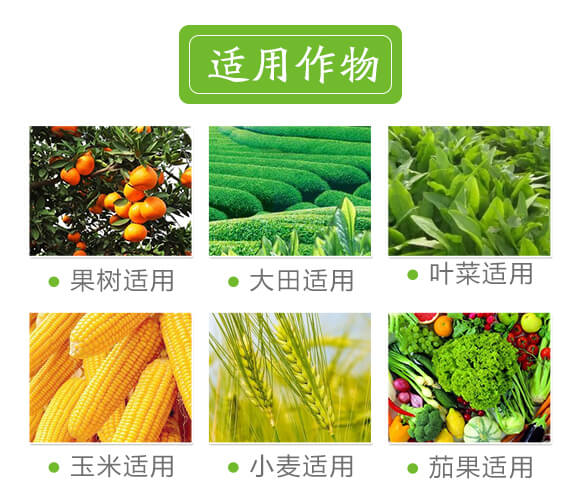 �VԴ�S�����-��ɫ����-���r˹�__07