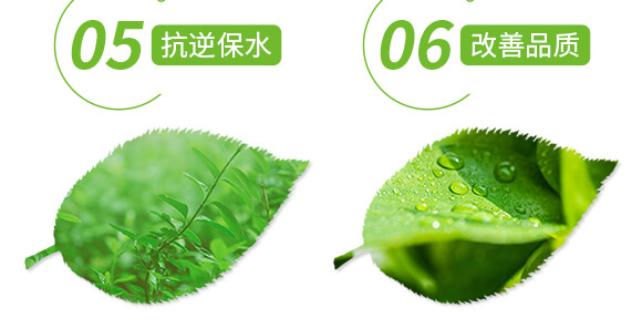 �VԴ�S�����-��ɫ����-���r˹�__06