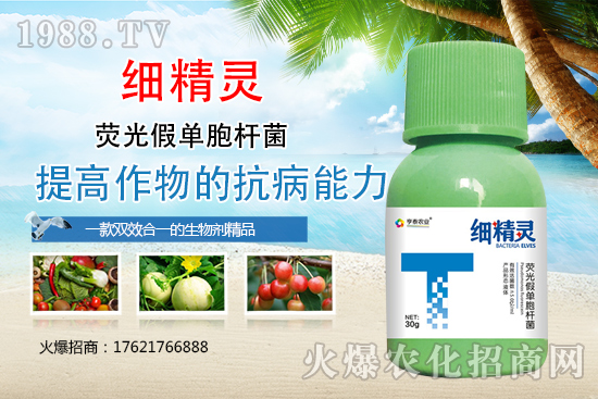 細(xì)菌性病害危害癥狀有哪些？細(xì)菌性病害防治藥劑推薦！