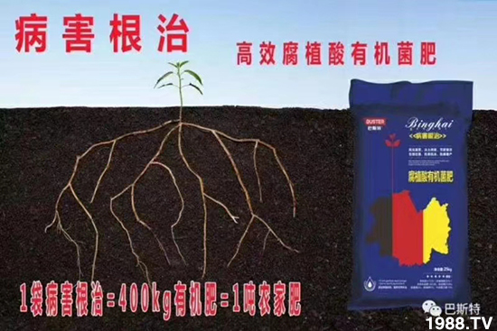     如何讓種植變得更輕松？一個套餐，全面配方，巴斯特大姜營養(yǎng)套餐方案！