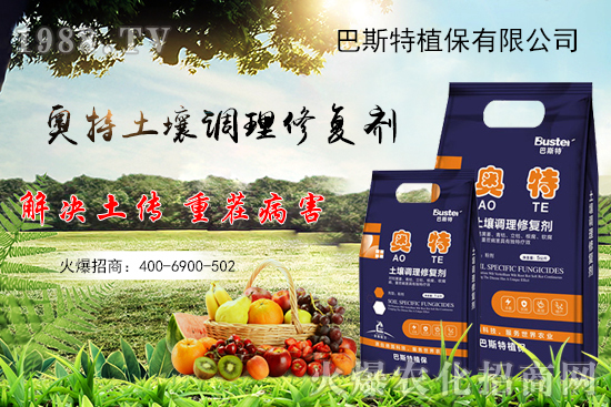     如何讓種植變得更輕松？一個套餐，全面配方，巴斯特大姜營養(yǎng)套餐方案！