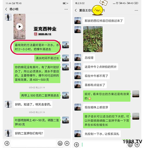     如何讓種植變得更輕松？一個套餐，全面配方，巴斯特大姜營養(yǎng)套餐方案！