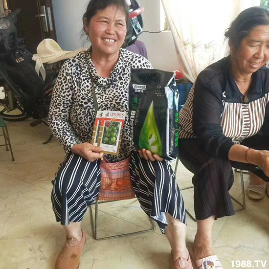     如何讓種植變得更輕松？一個套餐，全面配方，巴斯特大姜營養(yǎng)套餐方案！