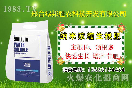番茄死棵究竟哪些原因所致，如何預防番茄死棵發(fā)生？
