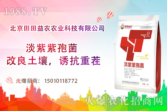 西紅柿需肥特點(diǎn)有哪些，西紅柿夏季如何管理？