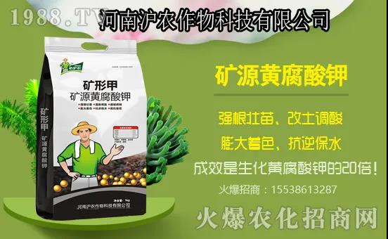 南瓜生長分哪幾個(gè)過程？南瓜施肥要點(diǎn)，用什么肥料好？
