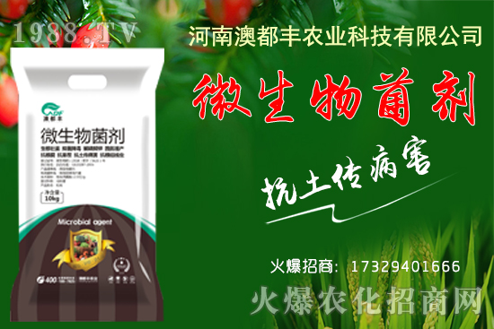 玉米穗期發(fā)育特點有哪些？玉米穗期田間管理要點！