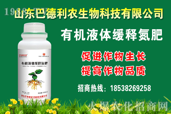 板栗多少錢一斤？種植前景如何？栗種植成本及利潤分析！