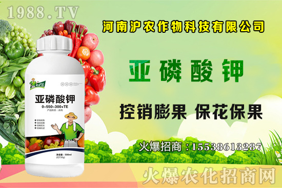 大蔥育苗要點(diǎn)你知道嗎？大蔥常見病蟲害有哪些？如何防治？