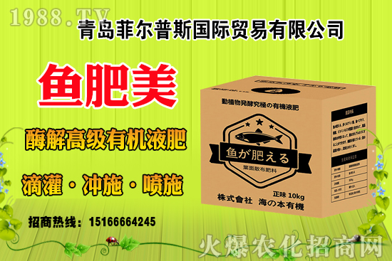 玉米結(jié)實不好啥原因？有法補救嗎？玉米結(jié)實不良改善措施！