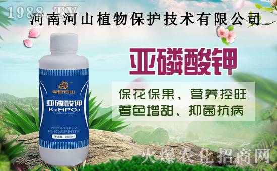 小麥政策加碼！扎堆賣糧！2020年8月14日小麥價(jià)格行情！