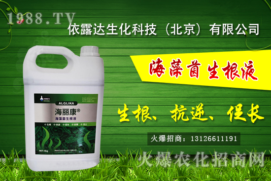 獼猴桃有哪些品種，獼猴桃和奇異果有什么區(qū)別？