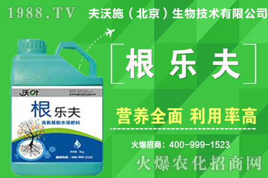 如何給蔬菜留種？蔬菜種子如何采收？良種標(biāo)準(zhǔn)有哪些？