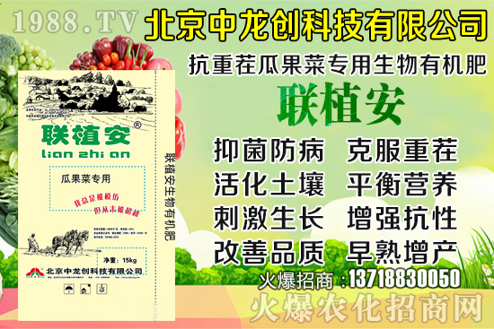 2020-8-20小麥?zhǔn)召?gòu)價(jià)多少錢一斤？小麥價(jià)格行情如何？