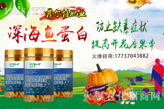 青梗菜種植時間，青梗菜栽培及管理關(guān)鍵要點(diǎn)！