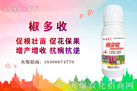小麥價格多少錢一斤？2020年后期小麥價格還會上漲嗎？