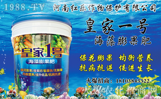 花椒產(chǎn)地主要在哪？花椒價(jià)格多少錢一斤？種植前景及效益分析！