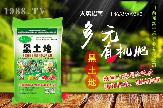 生姜如何選種，生姜什么時候種植？種植前需注意哪些問題？