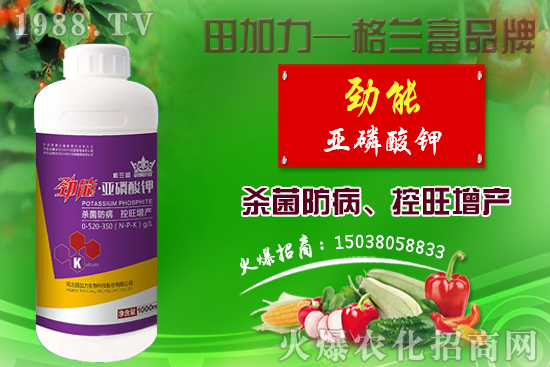 棉花如何做到合理施肥？棉花需肥特性及施肥原則！