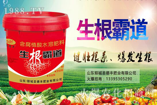 花椒樹(shù)種植季節(jié)是什么時(shí)候？花椒樹(shù)種植技巧有哪些？