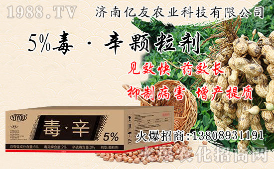 果樹秋栽和春栽有什么不同，果樹秋栽八大關(guān)鍵要點(diǎn)！