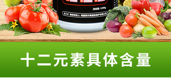 ����ʮ��Ԫ��-�����-Ӣ����_03