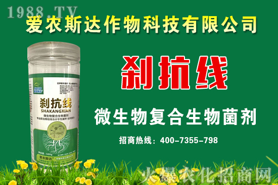 今日糧價：2020年9月11日小麥價格行情預測！